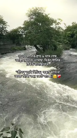 ২০২৫ সালের প্রায় ৯ মাস শেষ, অক্টোবর চলে এসেছে! মির্জা গালিব ঠিকই বলেছিলেন, 