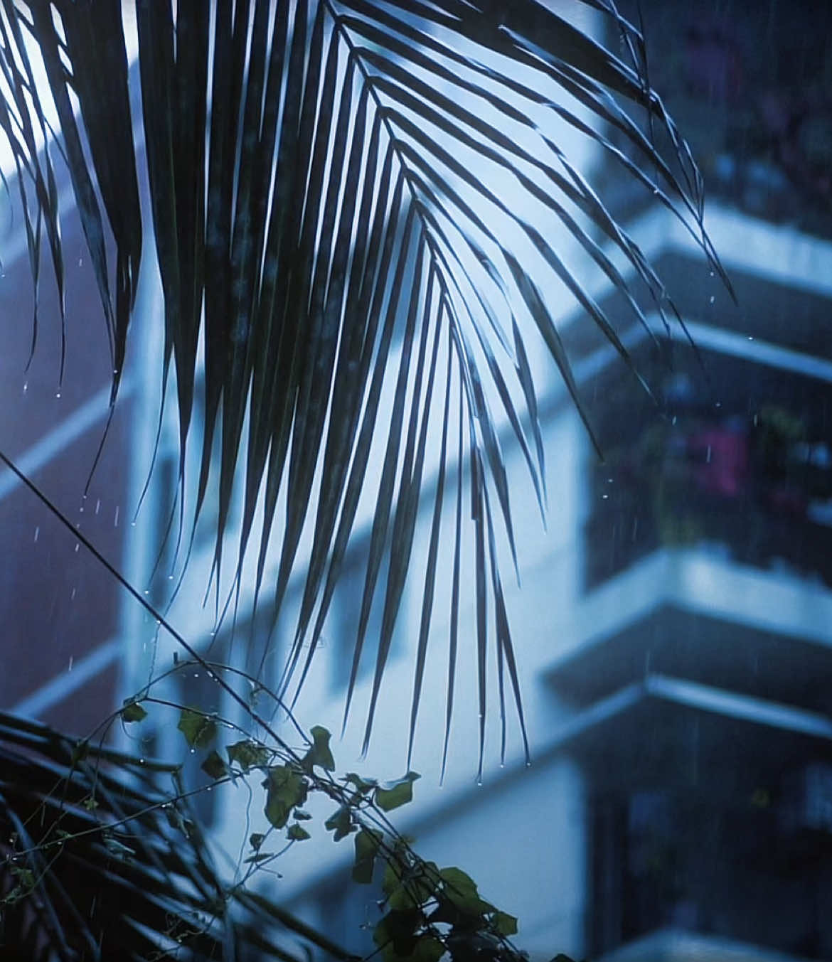 এই বৃষ্টিতে তুমি পাশে থাকলে আর কী লাগে #bangladesh #rain #foryou #bangladesh #cinematic 