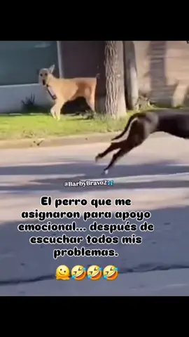 #sisoy😎👌 #mymood😂😂😂 #humor #chistesgraciosos😂😂😋🤪 #💯cubana🇨🇺🇺🇸 