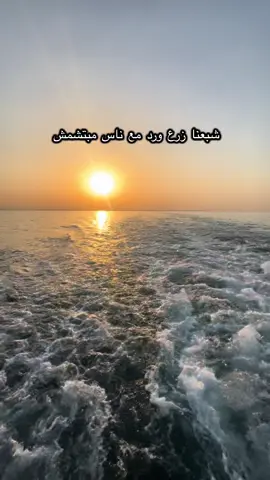 شبعنا زرع ورد مع ناس مبتشمش👌 #اكسبلور #بحر #vip #foryou #CapCut 