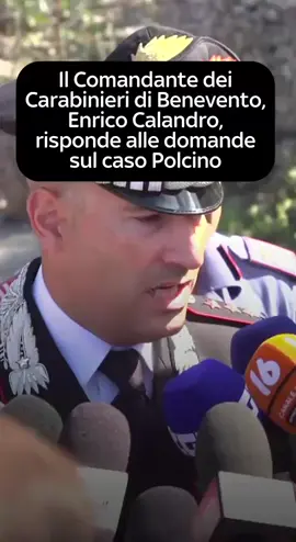 Il Comandate dei Carabinieri di Benevento, Enrico Calandro, risponde alle domande sul caso Polcino. L'aggressione è avvenuta a Paupisi, piccolo centro del Sannio. In queste ore stanno cercando il marito della vittima. Non si hanno notizie nemmeno di due dei figli della coppia