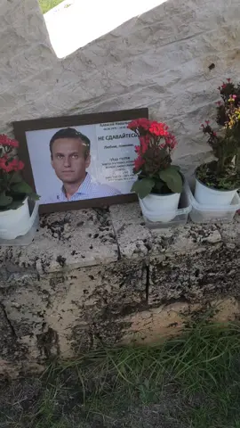 -1 навальный#стулалексеяновальского 