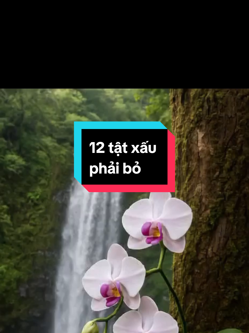 12 tật xấu phải bỏ #nhasachtinhhoa #chodi 