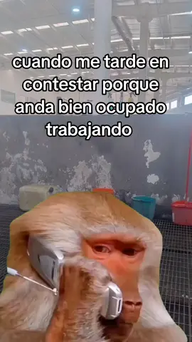 #toxica 