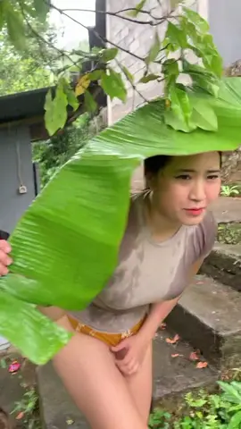 memori daun pisang#daunpisang #hujan🌧️ #gadiscantik😍 #gadisdayak #berteduhsebentar #memoridaunpisang #fvyp#vypシ✌️❤️
