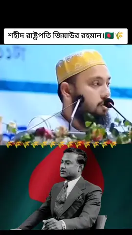 শহীদ প্রেসিডেন্ট জিয়াউর রহমান।🇧🇩🌾🤲#foryou #foryoupage #fb #bnp #viralvideo 