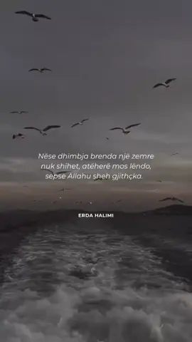 🥀✍🏻 #shkrimeshqip #videoislame #lovequotes #alhamdulillah #inspiration                