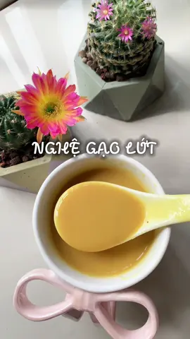 Nghệ gạo lứt hỗ trợ dạ dày #suanghegaolut #thuanchay #daudaday #healthy #chamkhuu 