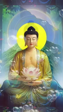 Người trì Chú Đại Bi dù bản thân không thấy được ánh sáng phát ra, nhưng người cõi âm như ma quỷ thần đều nhìn thấy. Càng thành tâm trì chú Đại Bi thì ánh sáng càng lớn, bởi chú Đại Bi là đại thần chú, là đại minh chú, là đại vô thượng chú khiến cho ma quỷ không dám đến quấy phá. Người trì chú Đại Bi ở đâu thì nơi ấy âm dương đều được hưởng lợi lạc, oan gia trái chủ hàng ngày theo chúng ta cũng được nghe chú Đại Bi mà từ từ buông bỏ thù hận, giải sạch oán kết. Thế nên ai đã có duyên lành nghe đến danh từ Chú Đại Bi thì nên phát tâm một lòng thọ trì, công đức là bất khả tư nghì, không thể nghĩ bàn. Nam Mô A Di Đà Phật