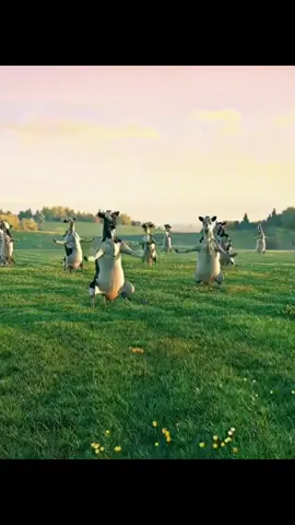 DA FIRST OF DAH MONTH! 🔥  #FYP #oct1st #cows #dancingcows #firstofthemonth 