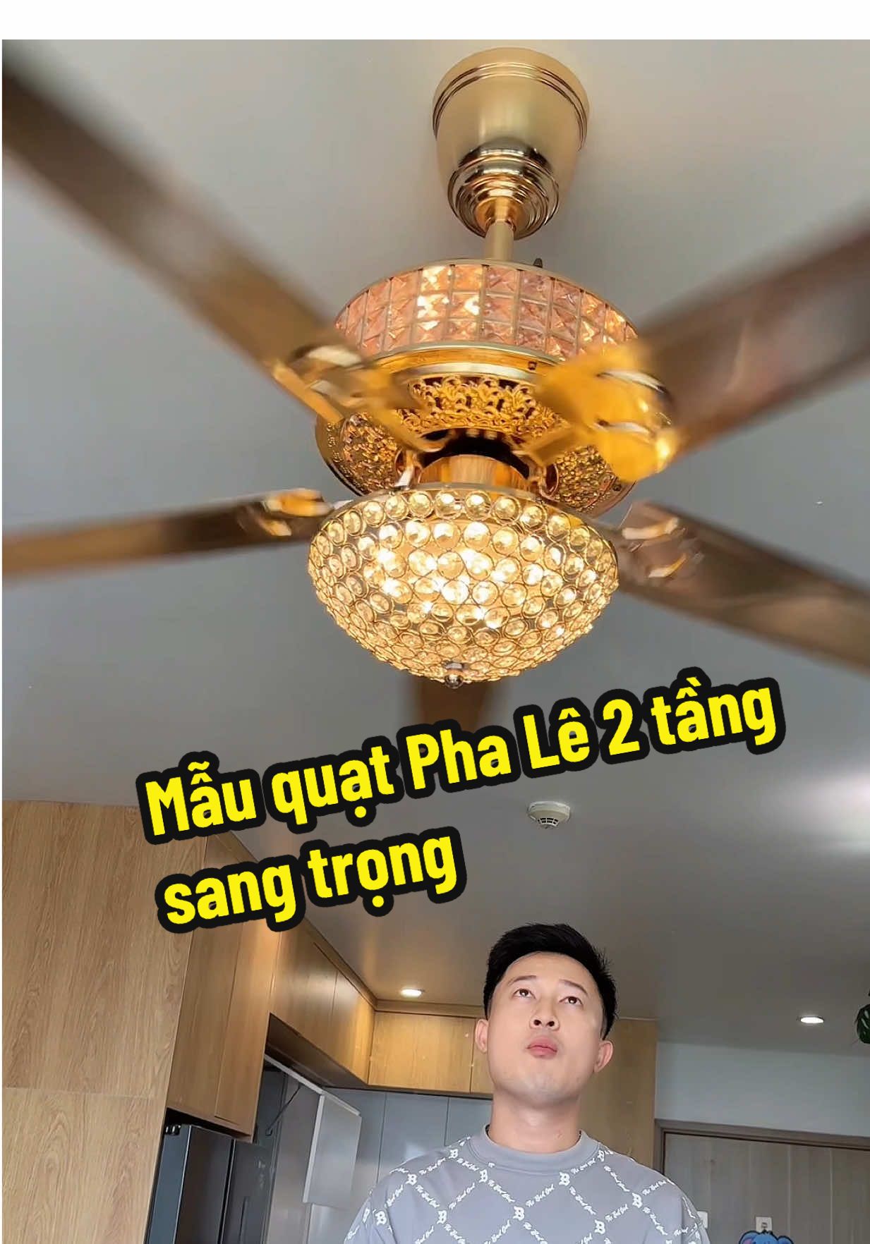 Quạt trần 5 cánh thép khopng gỉ kết hợp đèn pha Lê có 2 tầng ánh sáng siêu đẹp #quat #quattran #quattranden #xuhuong #nhanuytin88 
