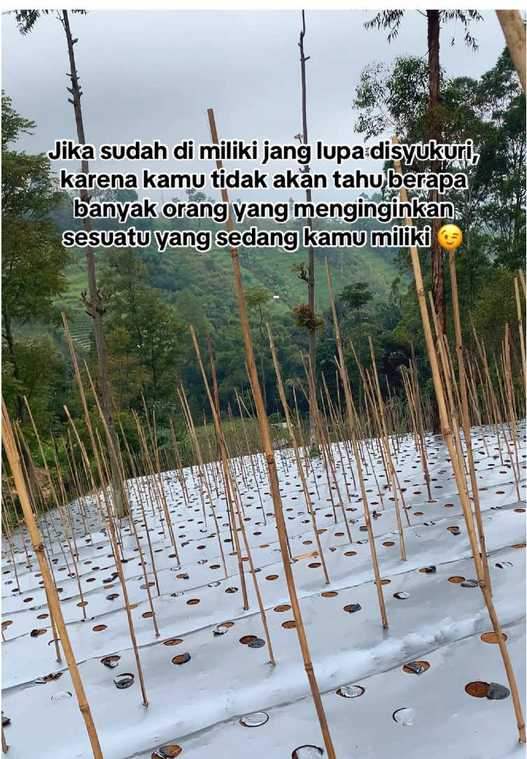 Gas merapat bulan 10