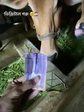 ডিজিটাল গরু 😵‍💫🤦🏻‍♂️