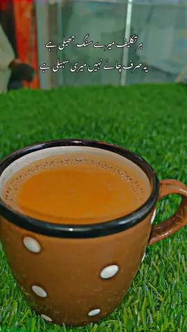 #چائےاورمحبت #niaziisb333 #fypシ゚viral🖤tiktok #tiktokteamunfreezmyacount #سنگت_ویڈیو_وائرل_کریسو_آپ_ہیں🥀🌼🙈✨🎇 