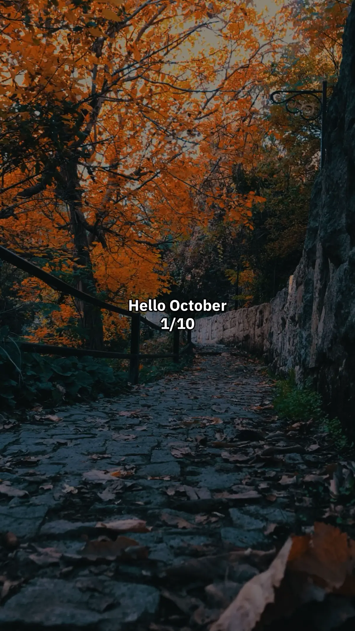 welcome #october #amedi 