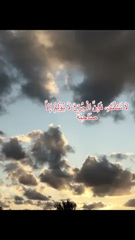 #viraltiktok #fypシ゚ #fyppp #viral #fypage 