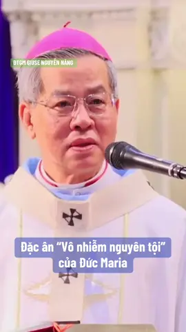 Đức Maria và Đặc ân “Vô nhiễm nguyên tội”