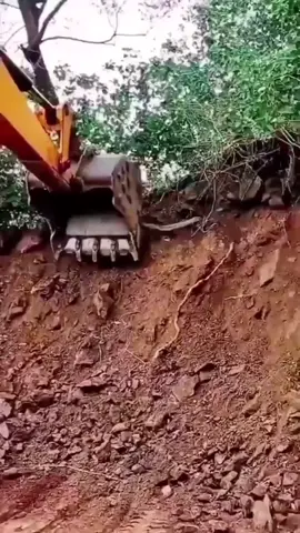 Yılan Kepçenin Hazineyi Almasına İzin Vermedi !!!