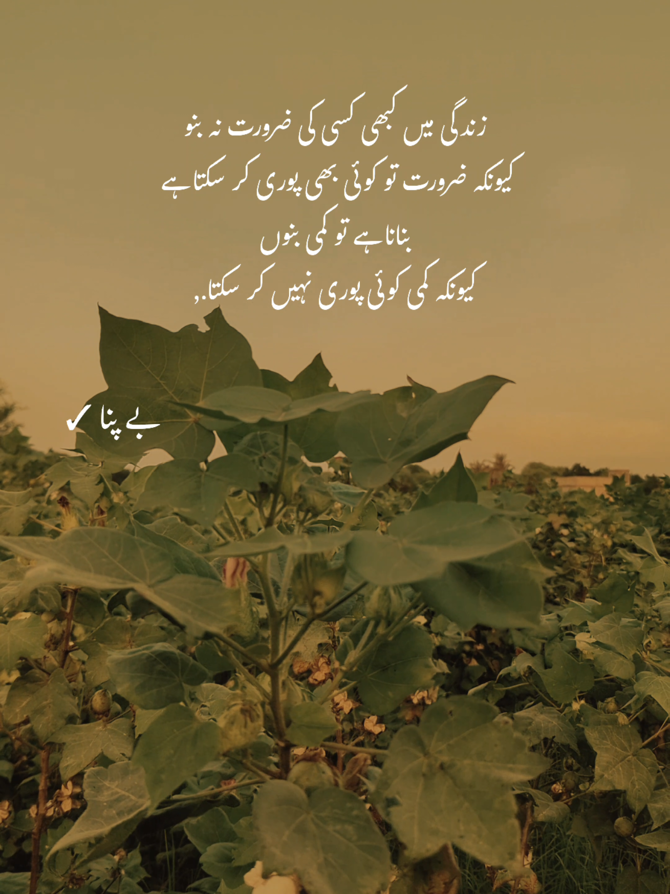 Deep words ❤️‍🩹 #1millionaudition #asthetic #poetrystatus #foryou #fypp 