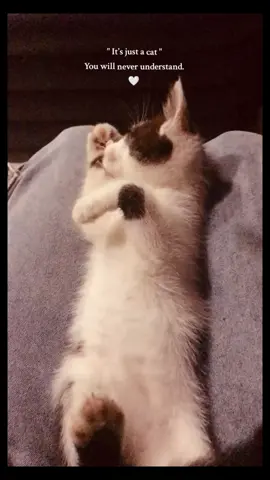 🥺🤍