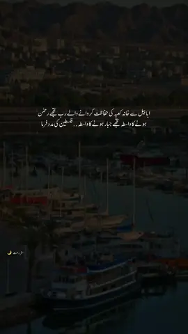 آمین ثم آمین🤲🏻🥺🇵🇸 #creatorsearchinsights #palestineفلسطين #deen #mola #iloveMuhammad 