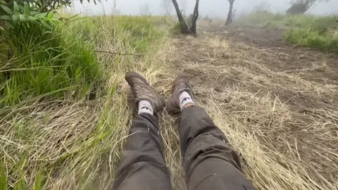 Siapa yang turun merbabu suka prosotan kaya gini? #merbabu #merbabuviasuwanting #fypシ゚ #foryoupage #merbabumountain 