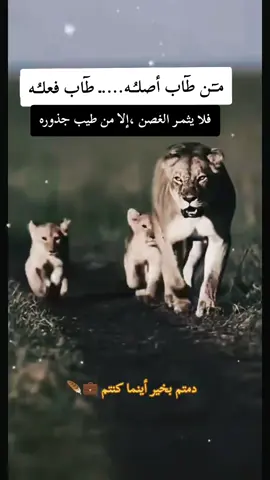 ##مقولات #اسد  #عزة 