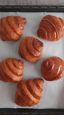 Croissants pâte à tartiner  la pâte à croissant : 500g de farine de Gruau  200g de lait froid 1 œuf petit  22gr de levure fraîche  50g de sucre 10g de miel  100g de beurre froid  Pour le tourage  250g de beurre  Nutella croissants Croissant Dough: 500g semolina flour 200g cold milk 1 small egg 22g fresh yeast 50g sugar 10g honey 100g cold butter For the pastry 250g butter