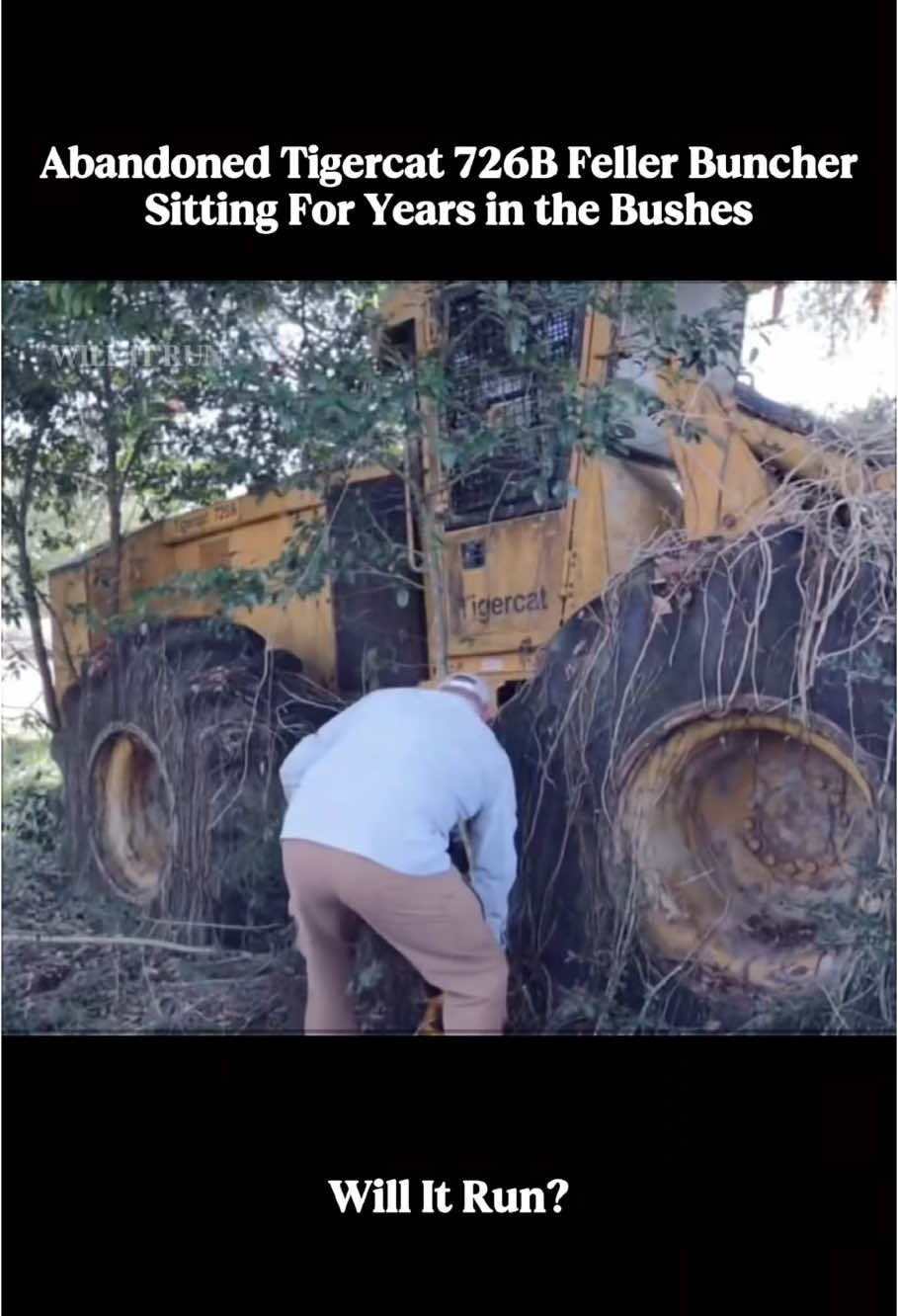 Logging Equipment Hiding in the Bushes!Will It Run Again?#willitrun #engine #recovery #old #repair #tractor #truck #restoration #car #tiktok #fyp 