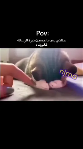 تره فعلا يحزن 😿😭😞😿 #fyp #pov #viral #viralvideo #اكسبلور 