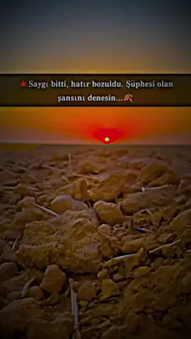 #arapcamuzik #araplarburdamı #keşfet 