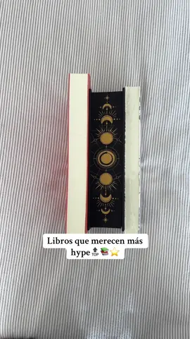 #booktokespañol #leeresvivir #libroslibroslibros #librosinfravalorados #BookTok 