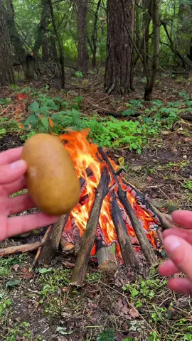 🥔🐟 ПЕЧЕНА КАРТОПЛЯ ТА СКУМБРІЯ