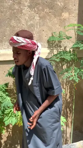 @Dauda Kahutu Rarara @Aishatulhumairah @AL-HIKIMAH @U7-Sarki👑✅ @Ahmad ak☑️ @A.A.Bash @ABBANY RARA 🔹️ @A-Azzeess✅ #virall #trinding #daudakahuturarara #viralditiktok #arewa__tiktok #arewa__tiktok 