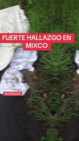 #videoviralitiktok #tiktokviraltrending #noticias #guatemala #guatemala🇬🇹 