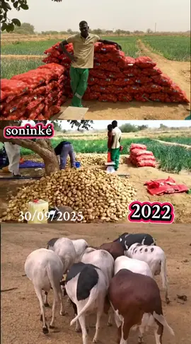 #🇲🇱 