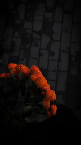 Feel This Song 😍❤️ | Repost Request | #aesthetic #foryou #foryoupage #viral #yourbaber  | pent Straight | Full Song Lyrics . Most Heart Touching Song Lyrics . Views 😭 Problem tiktok team don't under review my video please 🥺
