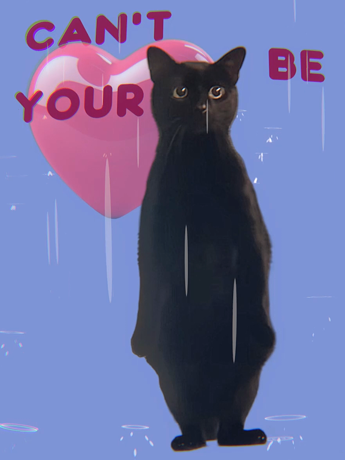 WITH SOMEBODY OTHER THAN ME 😭 #conangray #catanimation #lyricsvideo #catsedit #fyp 