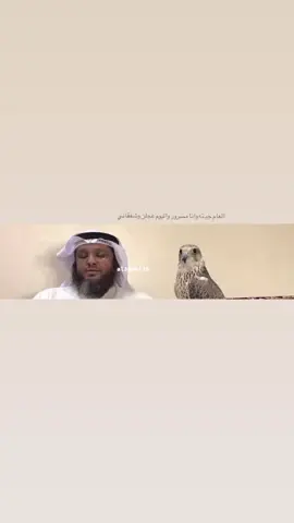 #عساك_توحي #مشعل_الحبيني #fyp 