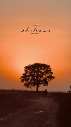 🍂❤️‍🩹#پنڈاں_والے #sani_estics1 