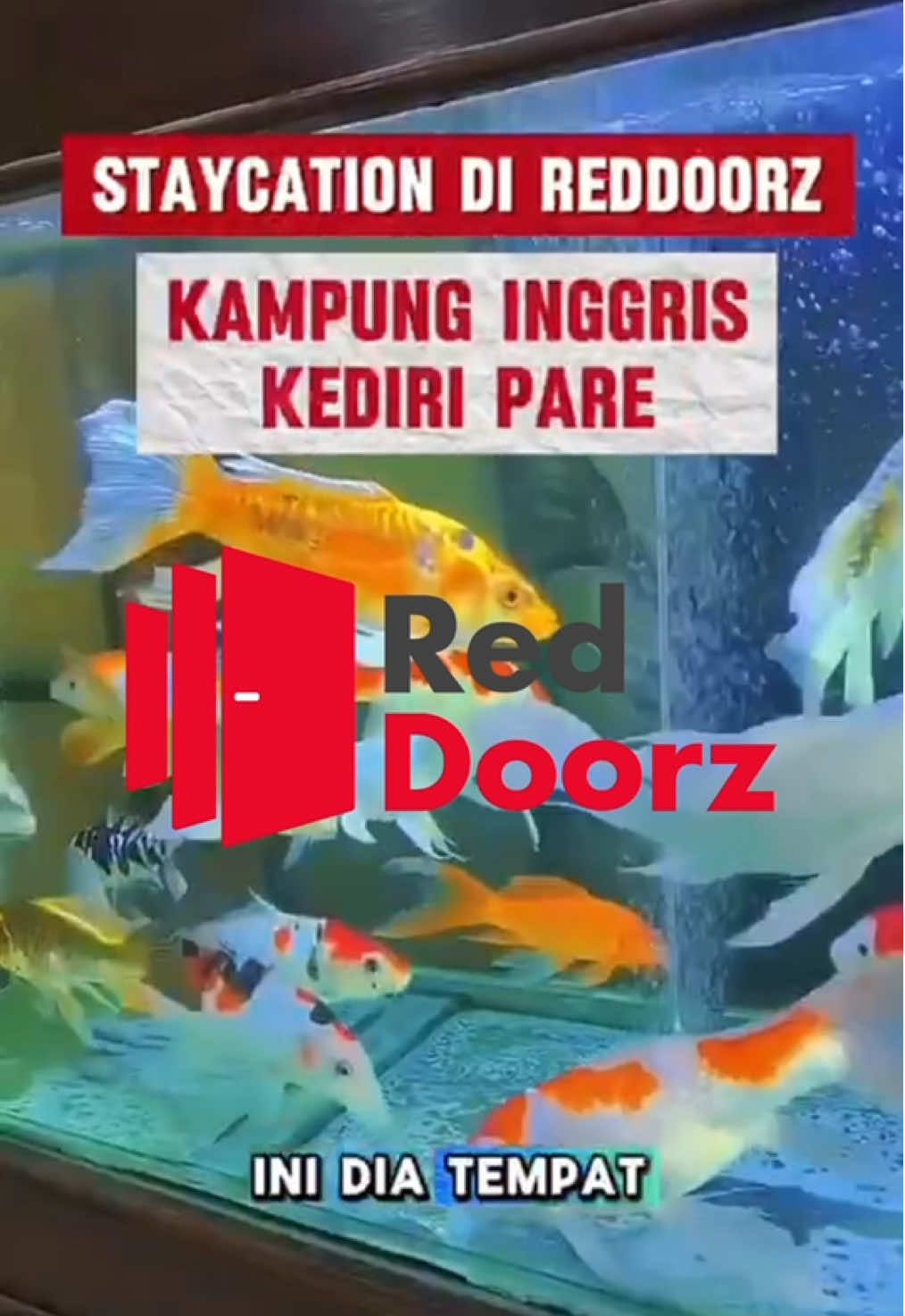 Staycation murah mulai 200 ribuan aja Namanya : 📍RedDoorz Near Kampung Inggris Kediri Dan pastinya harganya sangat terjangkau Apalagi kalau kalian Booking Lewat aplikasi RedDoorz, jaminan dapat harga terbaik dan bisa dapat tambahan potongan dengan menggunakan Kode Promo “YUKNGINEP” Download aplikasi RedDoorz sekarang supaya liburan kalian makin hemat. @RedDoorz Indonesia  #redtravelers #reddoorz #reddoorzid #bukasemuapintu  #fyppppppppppppppppppppppp 