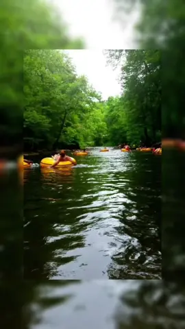 Cari petualangan air yang seru tapi tetap aman? 🌊 Tubing Kali Kromong di Mojokerto bisa jadi jawabannya! Cocok untuk pemula, dengan rute yang indah dan harga paket yang ramah di kantong. Yuk, refreshing! #Tubing #KaliKromong #Mojokerto #Pacet #WisataAir 