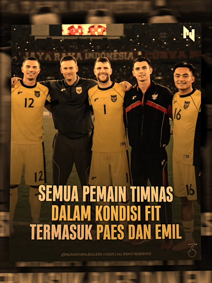 ARE YOU READY💀🇮🇩#fyp #timnasindonesia #emilaudero #maartenpaes 