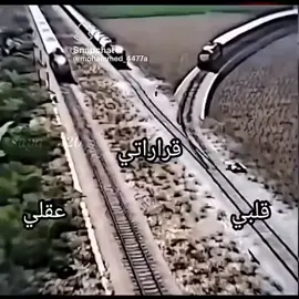 #الشعب_الصيني_ماله_حل😂😂 #هههههههههههههههههههههههههههههههههههههه 
