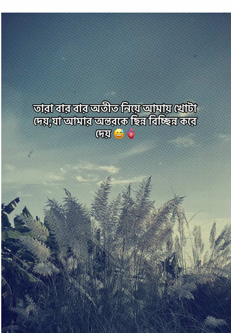 তারা বার বার অতীত নিয়ে আমায় খোটা দেয়,যা আমার অন্তরকে ছিন্ন বিচ্ছিন্ন করে দেয় 😅🫀#bunty_vaya #unfrezzmyaccount #viral #foryou #support 