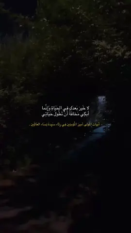 اللهم ازرقنا شفاعة الزهراء عليها السلام 🌱. #الزهراء_عليها_السلام #ذكرى_وفاة_الزهراء #امير_المؤمنين #كربلاء #اكسبلورexplore 