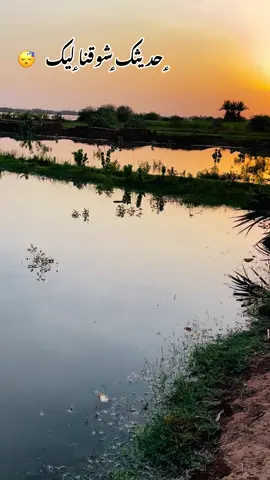 نحنا جيناك وقصدنا كان الله شملنا بيك يجمعو😴❤️‍🩹#السودان_مشاهير_تيك_توك #مشاهير #متابعه_ولايك_واكسبلور_فضلا_ليس_امر❤️ 