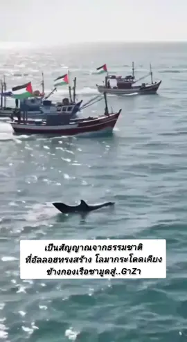 ขออัลลอฮให้ความง่ายดายแก่พวกท่าน ขอให้ไปยังจุดหมายปลายทางอย่างปลอดภัย และขอให้พี่น้องชาวGาZาได้รับความช่วยเหลือโดยเร็ว 🤲❤️ #freepalestine🇵🇸❤️ #freepalestine 