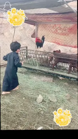 حفله 🤣🤣🤣🤣🤣🤣