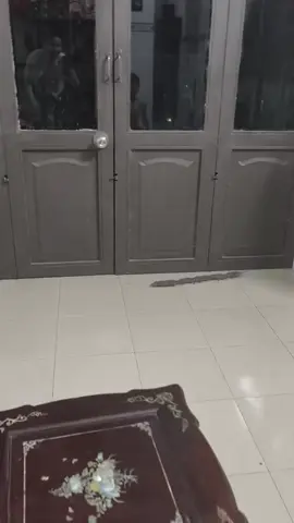 Chưa tới trung thu mà mấy lân này nhảy khiếp hồn chủ nhà🤣🤣